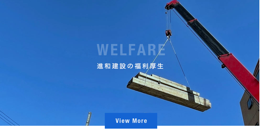 bnr_half_Welfare_def