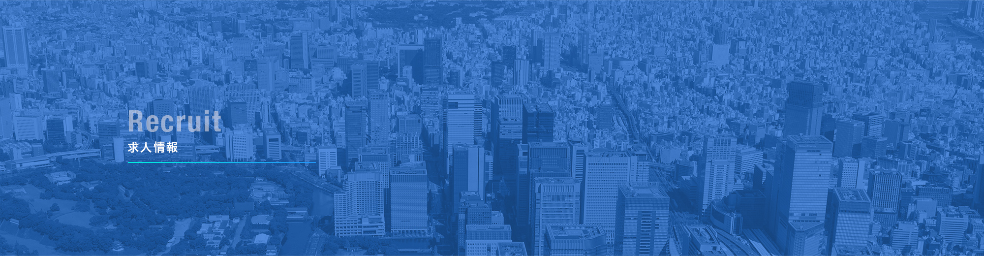 求人情報